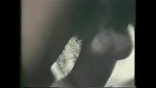 Берба Интеррациал Трах 1