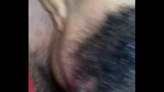 ���ყიდება ტრაკი aflor