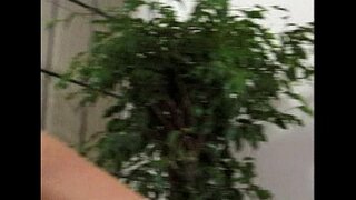 Metro - Lesbiese Seks - toneel 8 - uittreksel 2